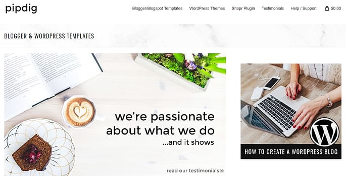Pipdig investigation backdoor and attacks P3 plugin