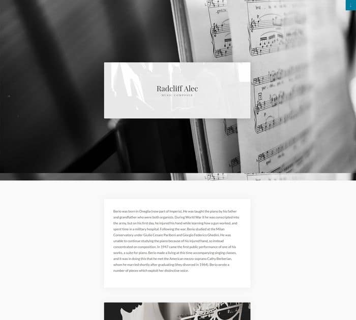 Alec is an ideal Elementor template for musicians and composers