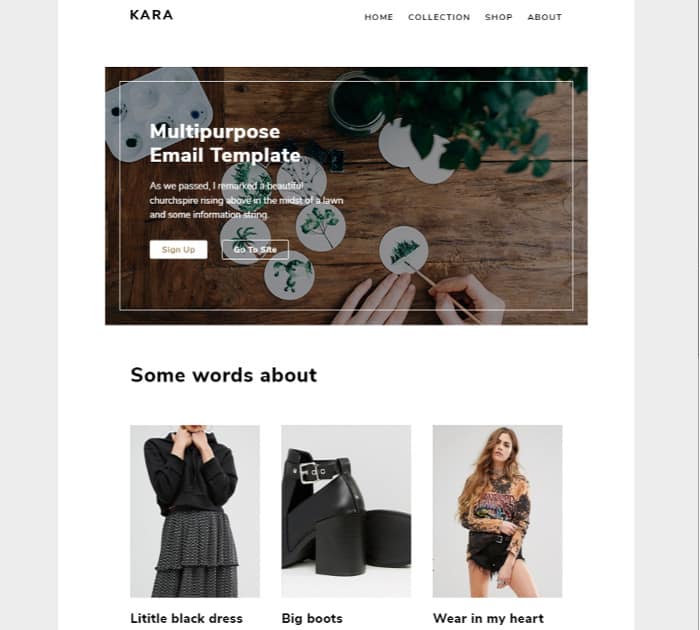 Best HTML Email Templates #2: Kara