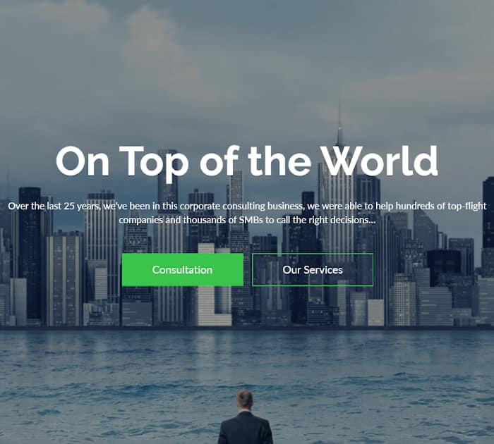Best Adobe Muse Templates: Consult