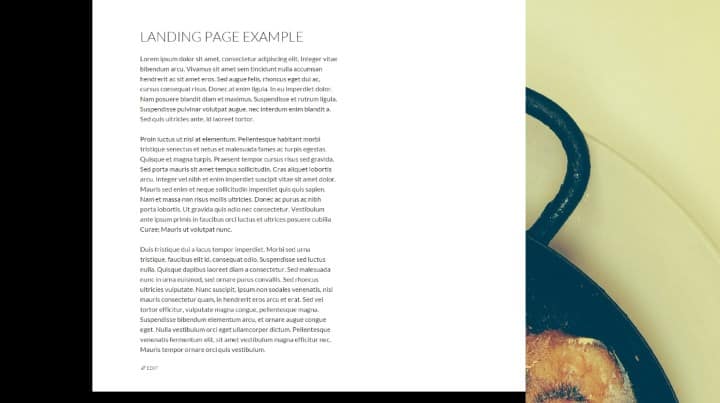 Landing page in WordPress example