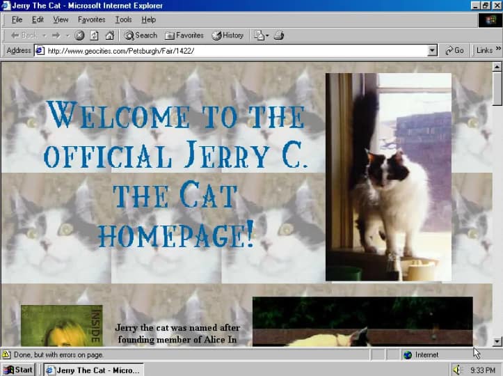 A Geocities website is one of the earliest examples from the history of website builders.