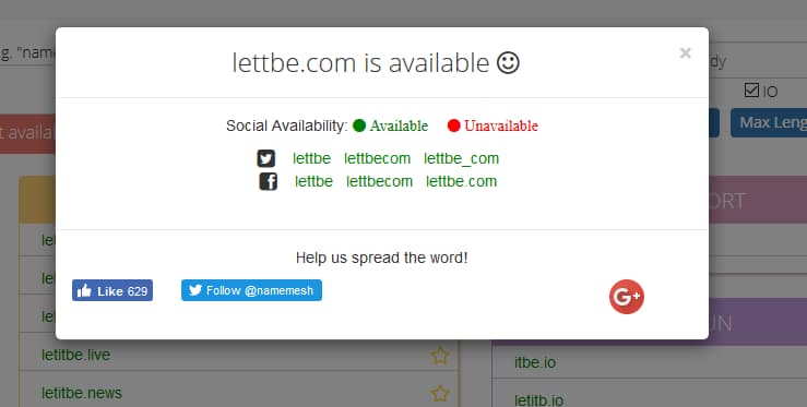 The simple interface for NameMesh's social media availability makes this final check easy
