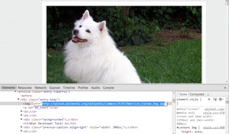 dynamic image loading with google developer tools