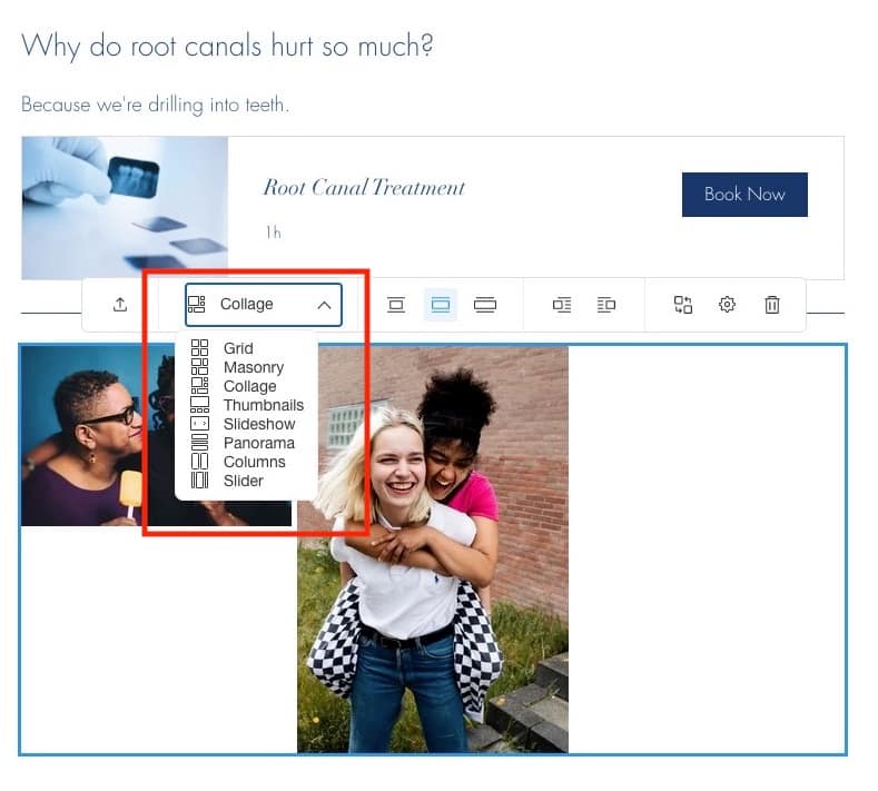 Wix vs WordPress: Wix design elements for galleries