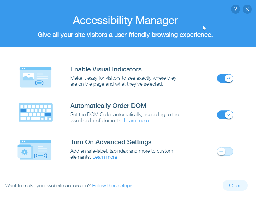 Wix SEO accessibility manager page