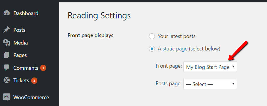 how to make a static blog homepage in WordPress