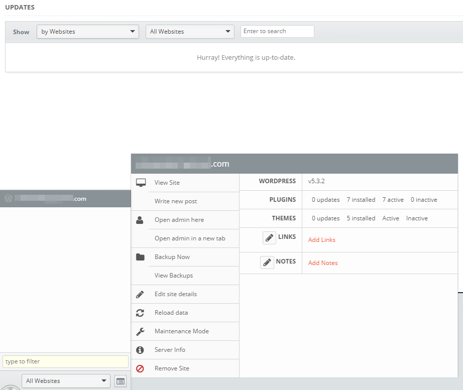 Inspecting a website with InfiniteWP.
