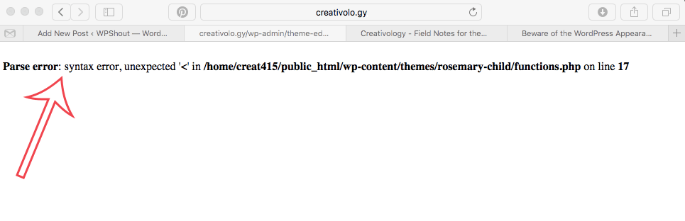 how to fix a syntax error in WordPress