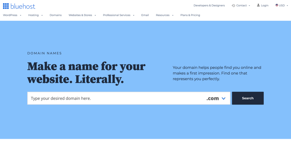 Bluehost magazine domain name.