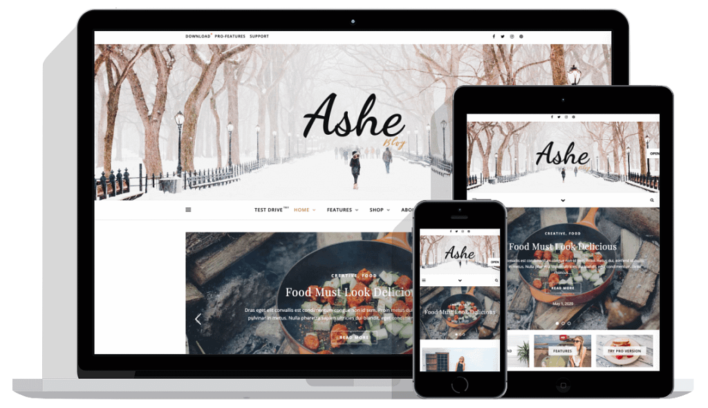 Ashe is one of the best WordPress themes available on the market.