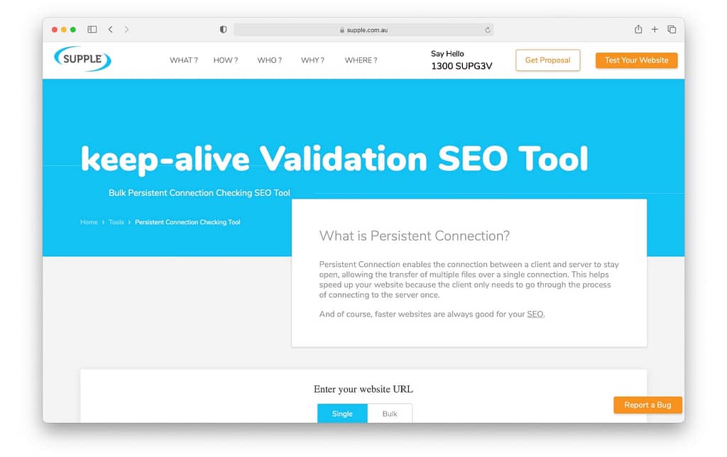 Keep-Alive validation SEO tool for technical SEO