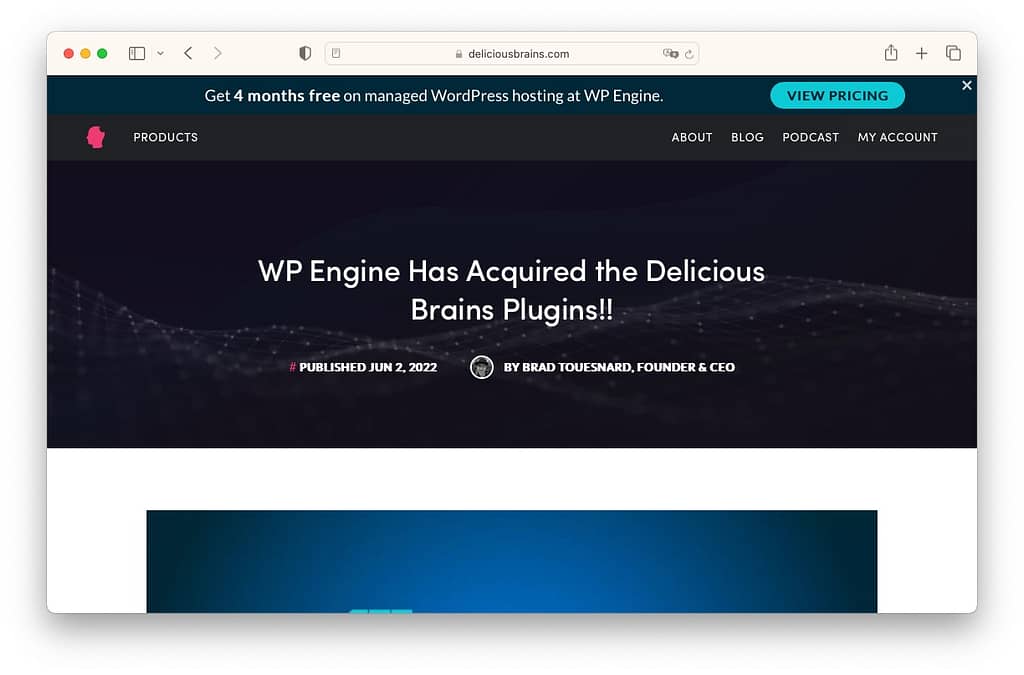 Best WordPress articles: Delicious Brains