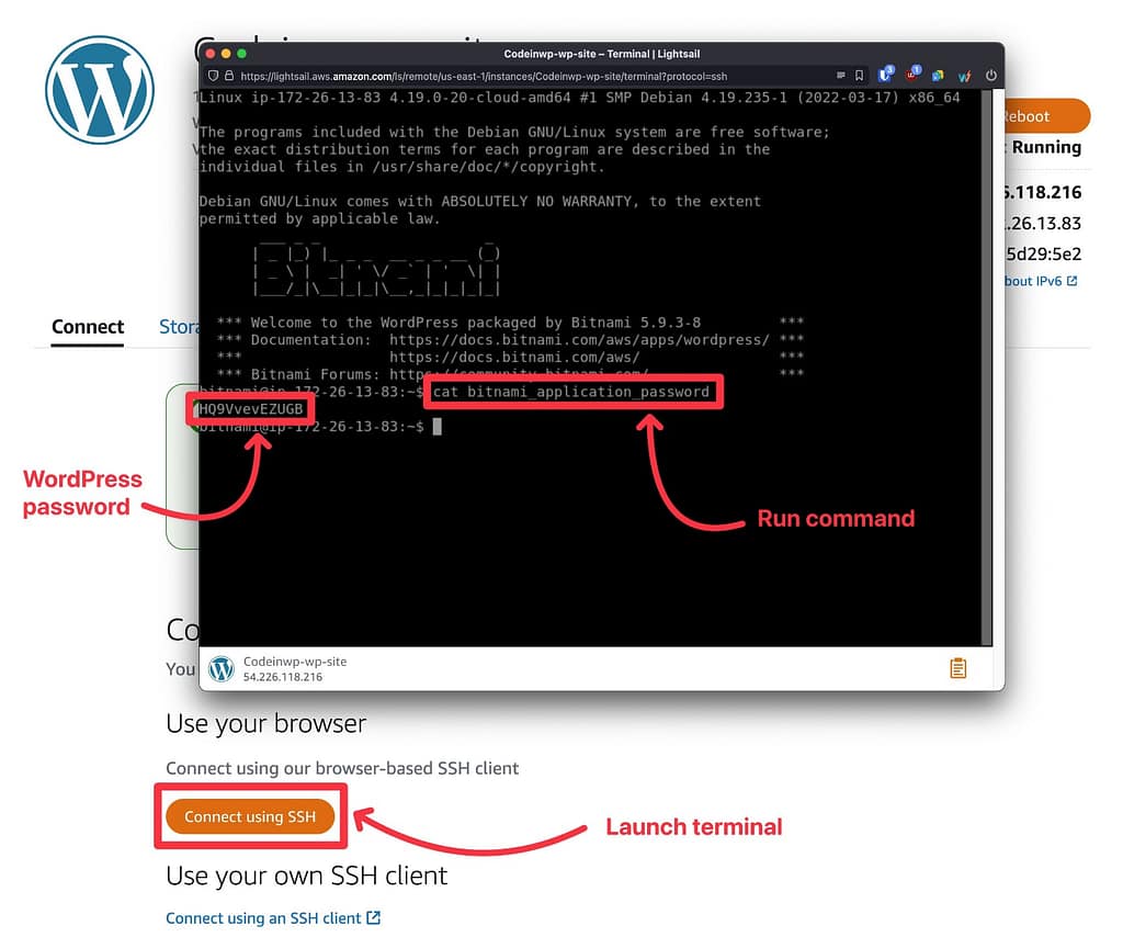 Access WordPress password