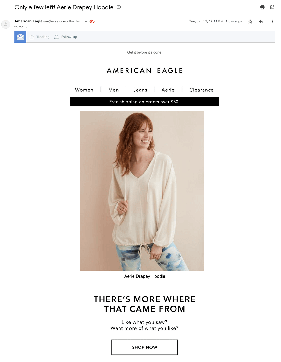 American Eagle's abandoned cart email