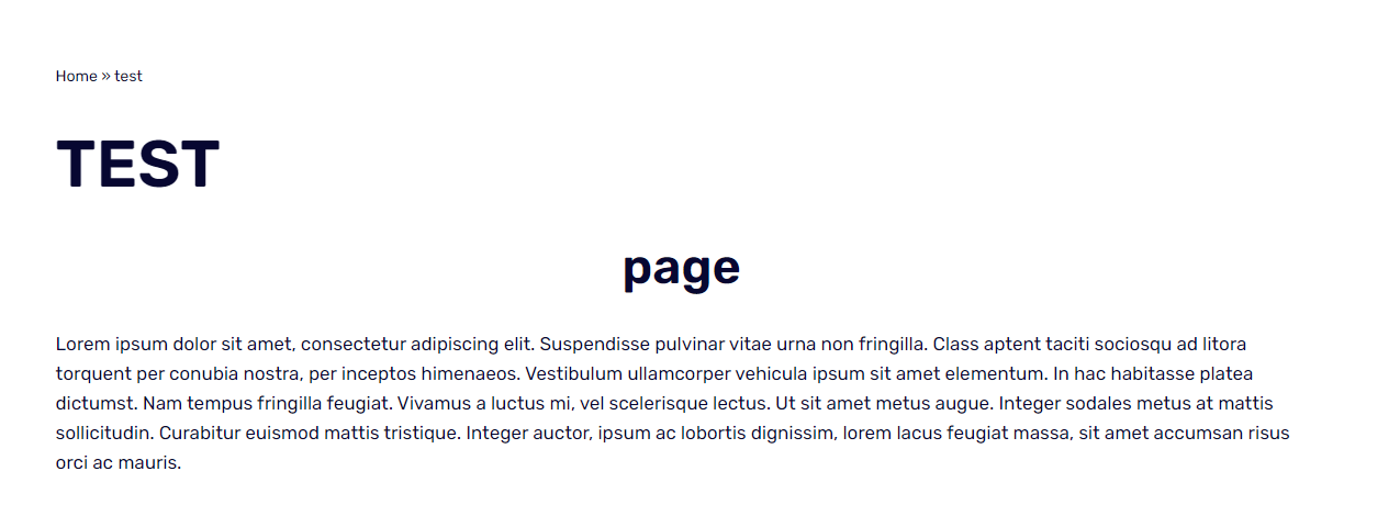 Preview of test page with "page" header based on "post type" dynamic content.