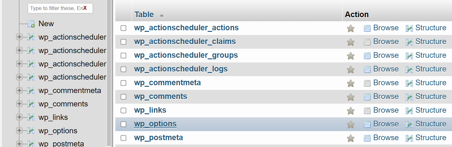 Opening the wp_options table.