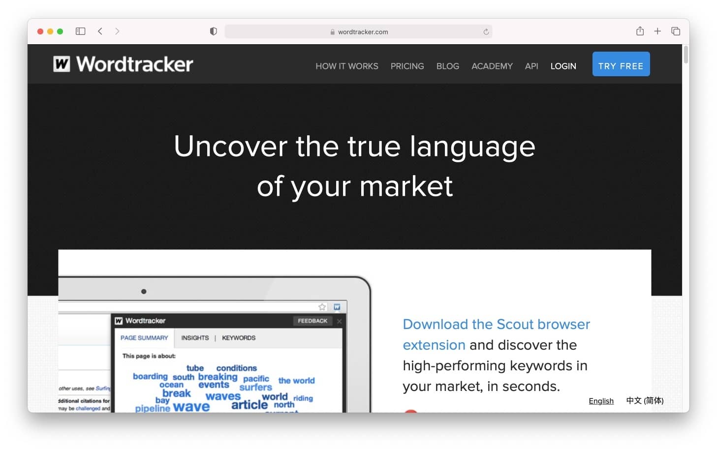 Wordtracker Scout