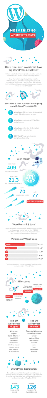 infographic WordPress stats 2023 preview