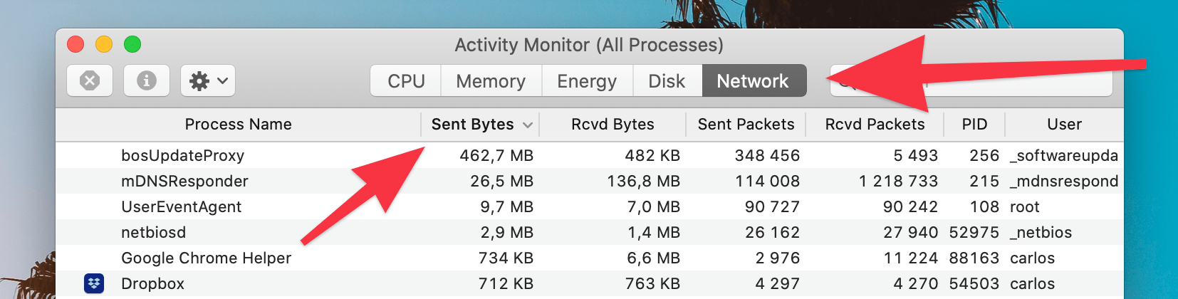 network usage