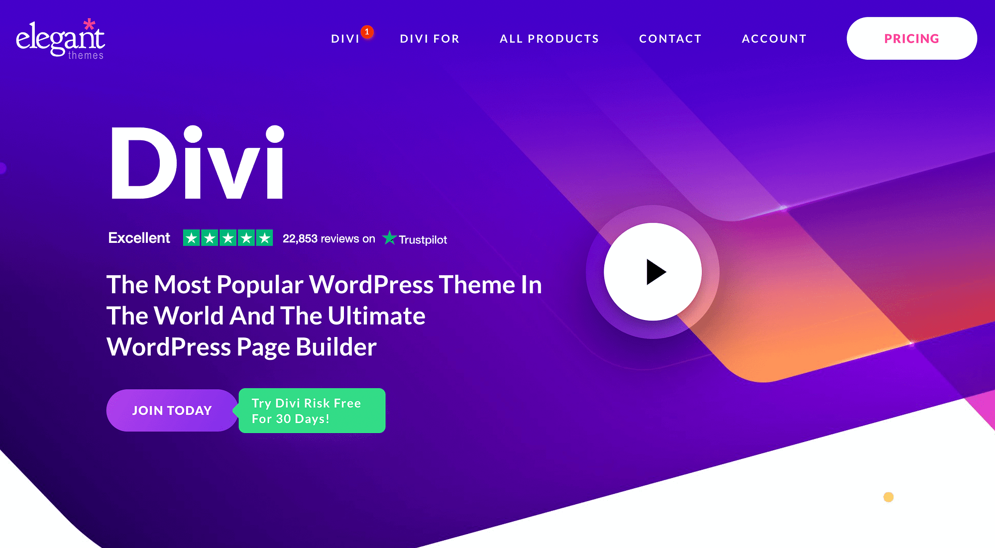 The Divi theme and page builder.