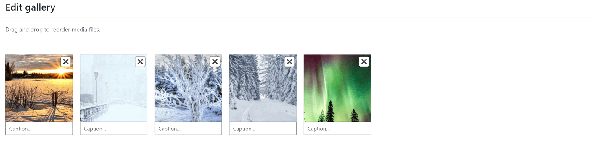 How to create a gallery in WordPress: adding captions in the Media Library