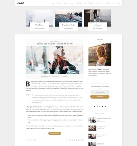 10+ Best Free Minimalist WordPress Themes for 2022