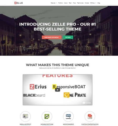 Zelle Pro is among the best parallax WordPress themes