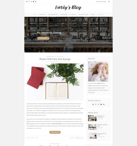 everly pro wordpress theme for blogs
