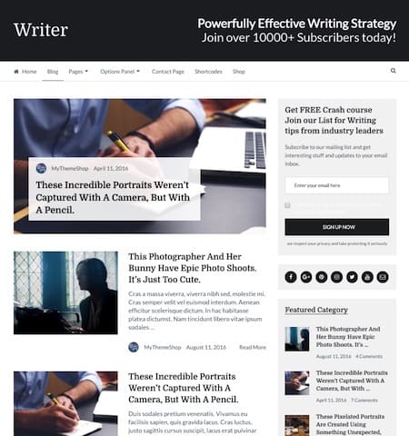 writer blog wordpress theme