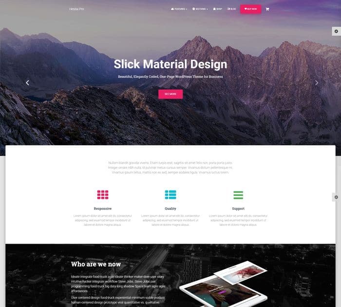SEO friendly WordPress themes: Hestia Pro
