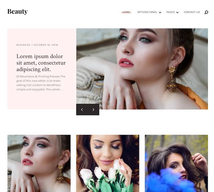 Best free WordPress themes for writers: Beauty