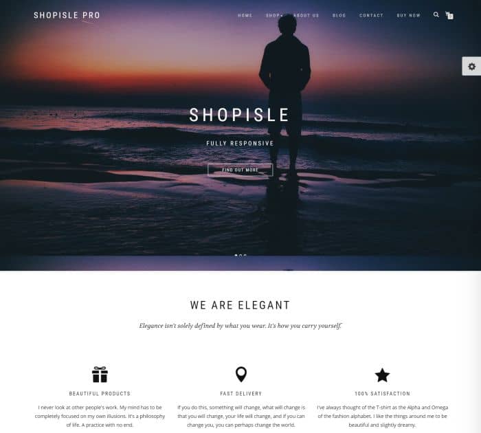 Best WordPress themes: shopisle pro