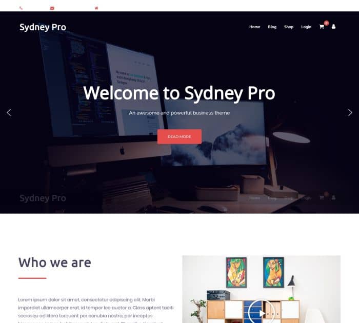 Best WordPress themes #4: sydney pro