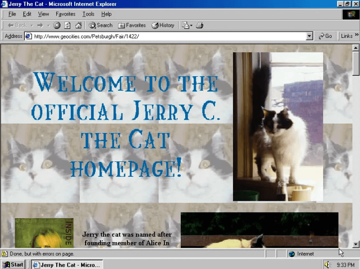 A Geocities website is one of the earliest examples from the history of website builders.