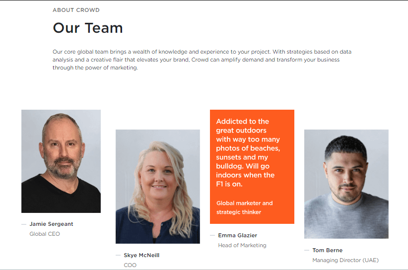 Crowd's meet the team page