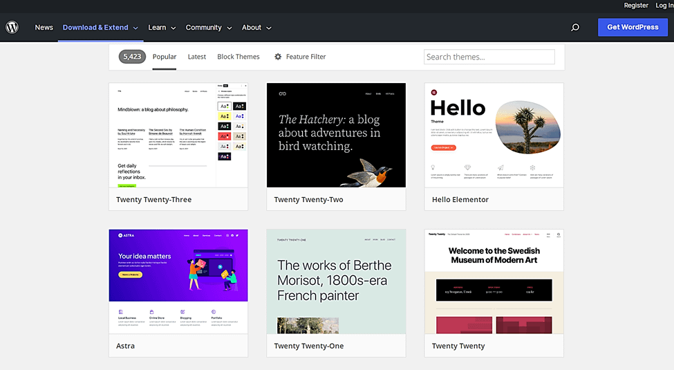 how much does it cost to build a wordpress website - Themes