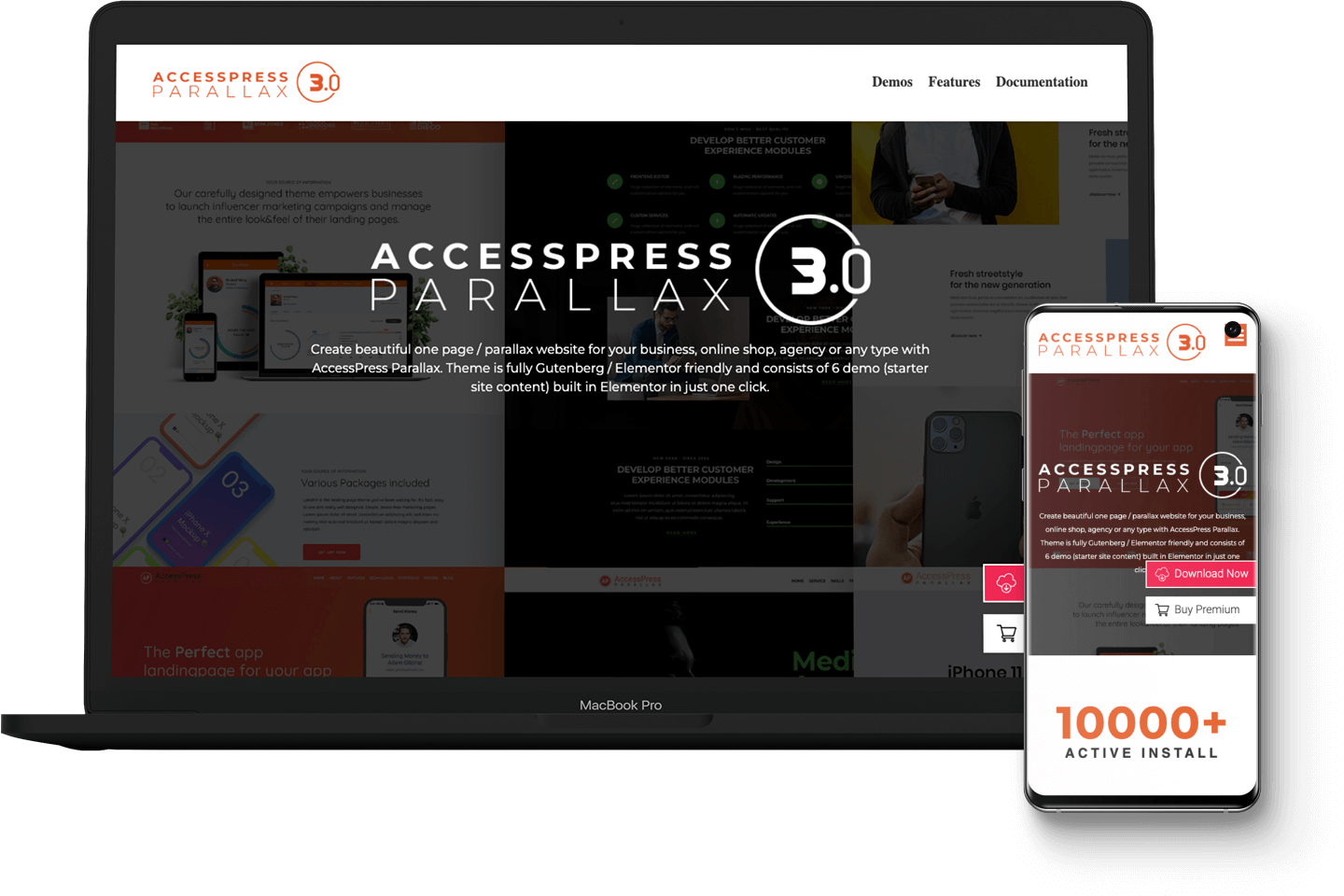 AccessPress Parallax WordPress Themes