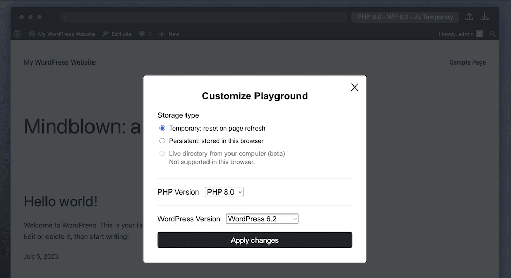 The WordPress Playground customization options.