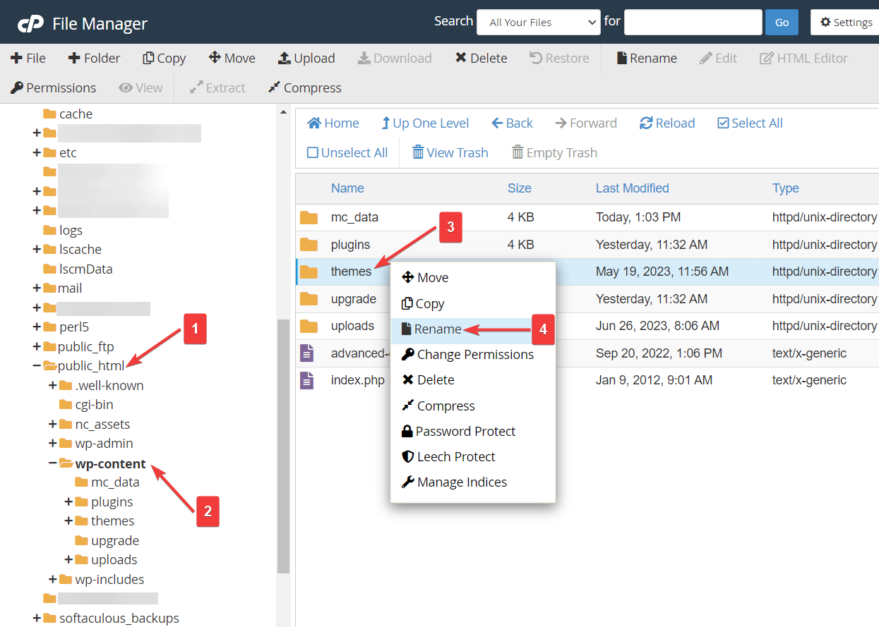 rename option themes folder file manager.