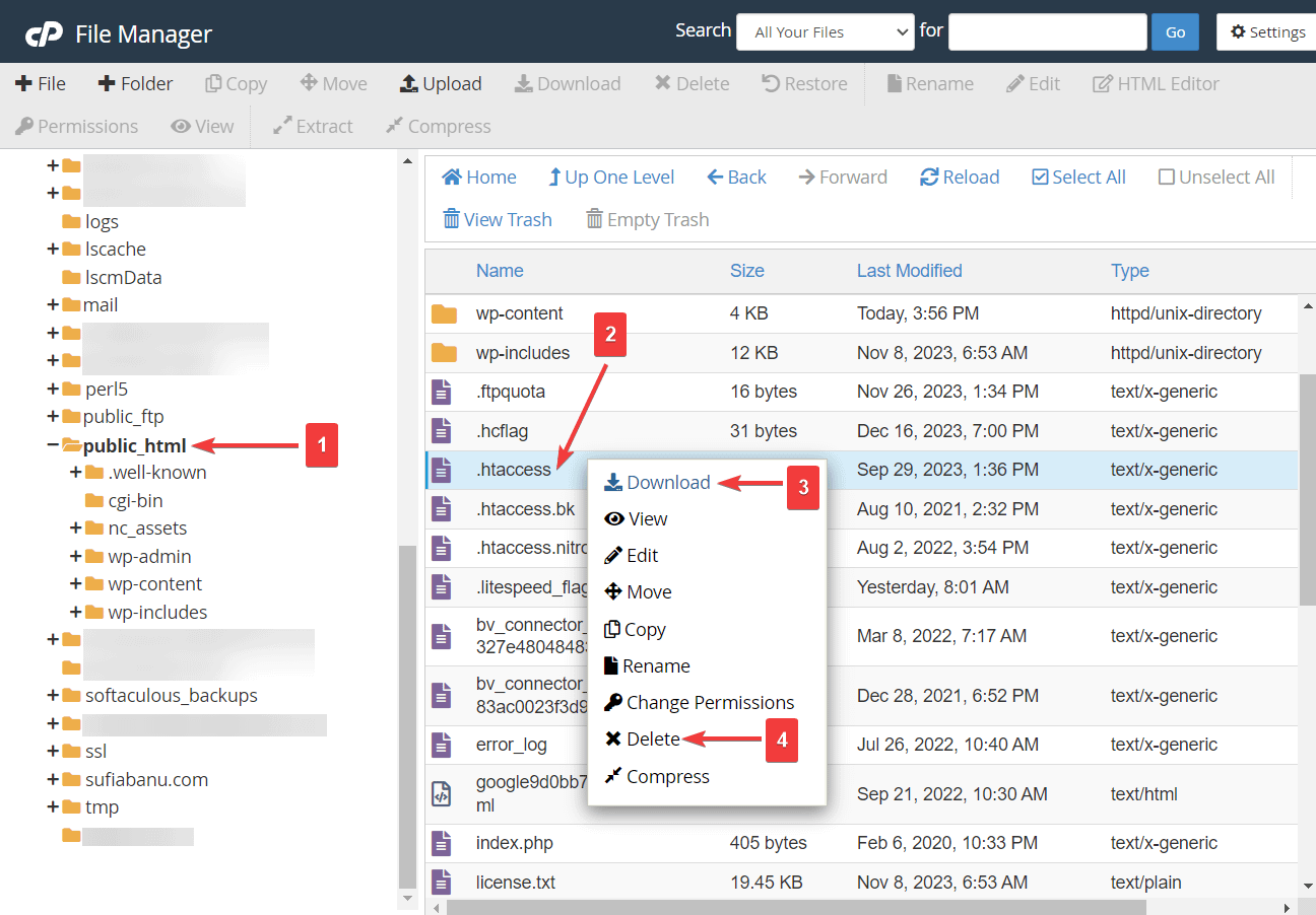 deleting htaccess file in file manager.