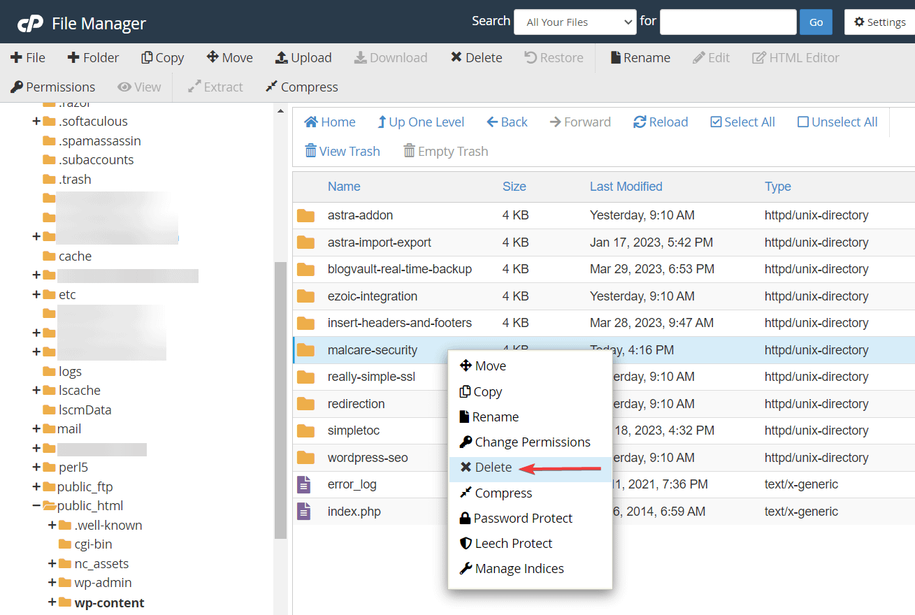 deleting a plugin folder in file manager