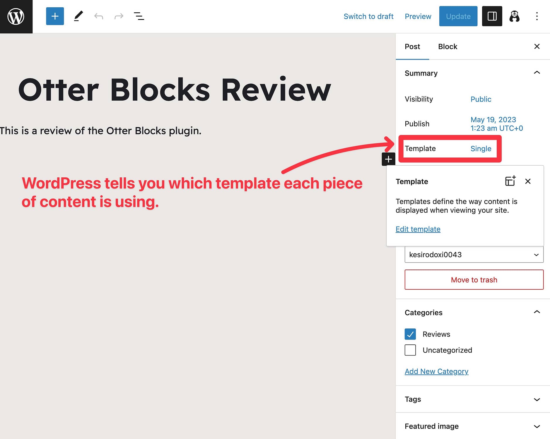 How to check WordPress template in Site Editor.