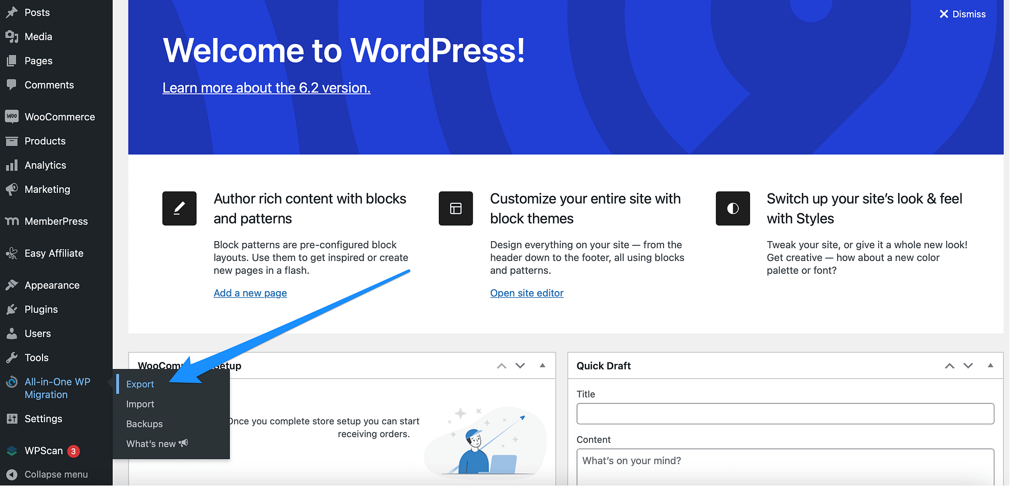 Export your WordPress website with the All-in-One WP Migration plugin.
