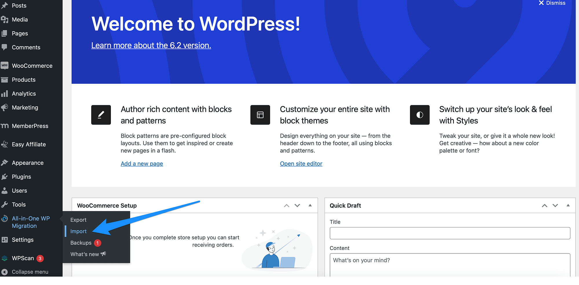 Import a WordPress website with the all-in-one WP migration plugin.