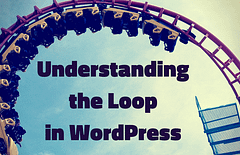 Photo of a roller-coaster loop, with the words "Understanding the Loop in WordPress" on it