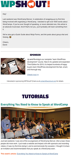 wpshout sponsorship newsletter spot