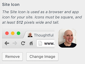 A screenshot of the "Site Icon" (or favicon) feature of WordPress's Customizer
