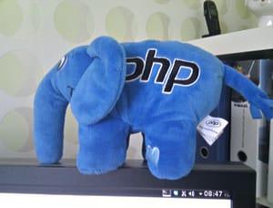 WordPress Programming Language PHP