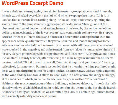 wordpress excerpt one-paragraph excerpt